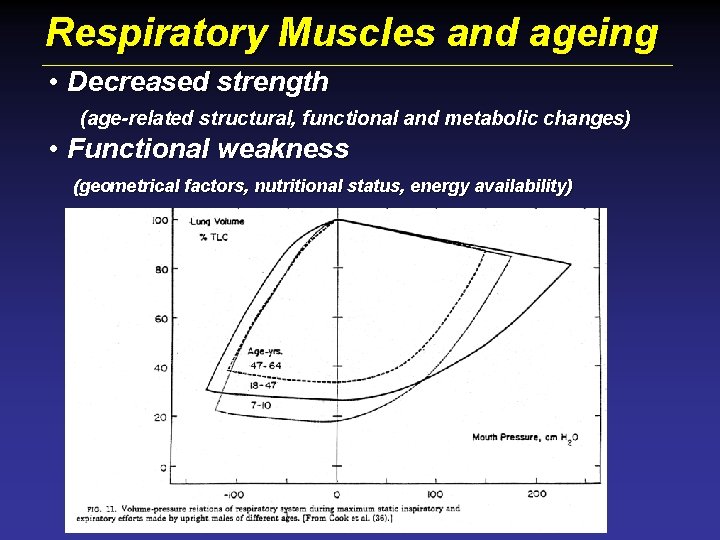 Respiratory Muscles and ageing • Decreased strength (age-related structural, functional and metabolic changes) •