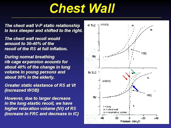 Chest Wall The chest wall V-P static relationship Is less steeper and shifted to
