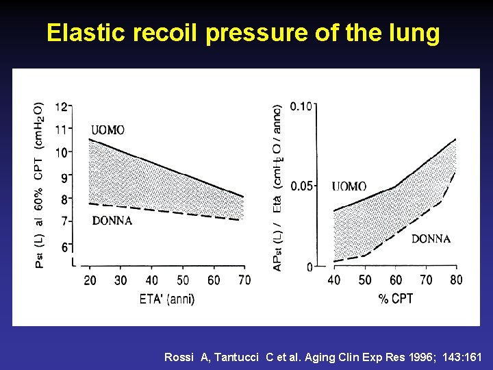 Elastic recoil pressure of the lung Rossi A, Tantucci C et al. Aging Clin