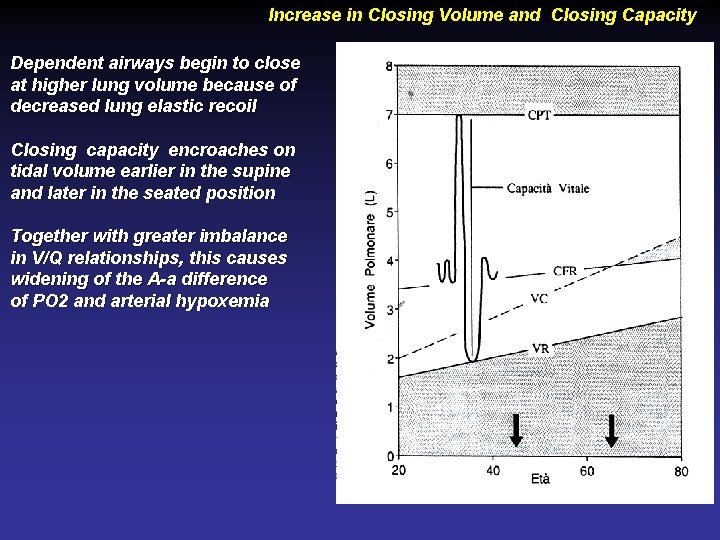 Increase in Closing Volume and Closing Capacity Dependent airways begin to close at higher