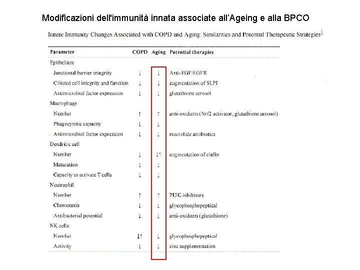Modificazioni dell'immunità innata associate all’Ageing e alla BPCO 