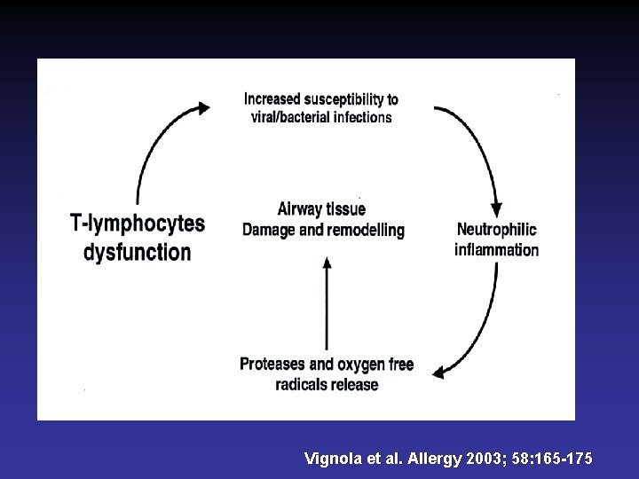 Vignola et al. Allergy 2003; 58: 165 -175 