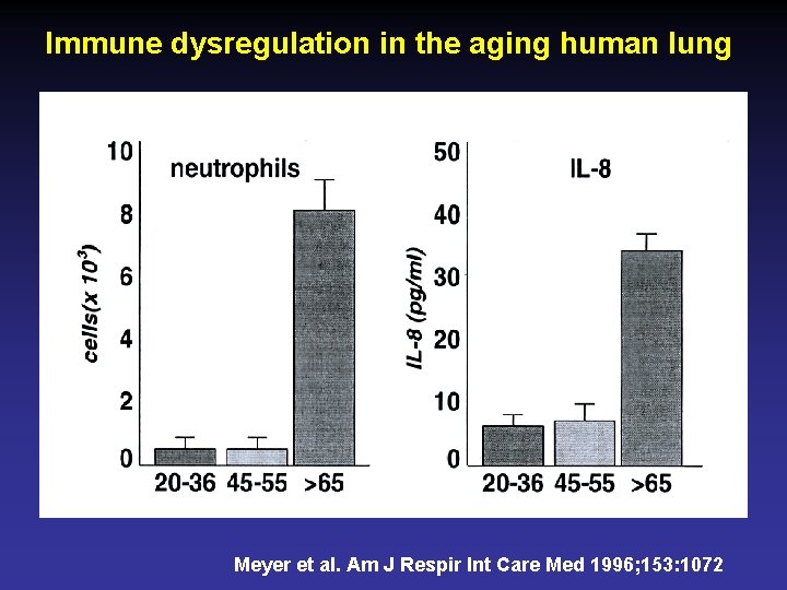 Immune dysregulation in the aging human lung Meyer et al. Am J Respir Int