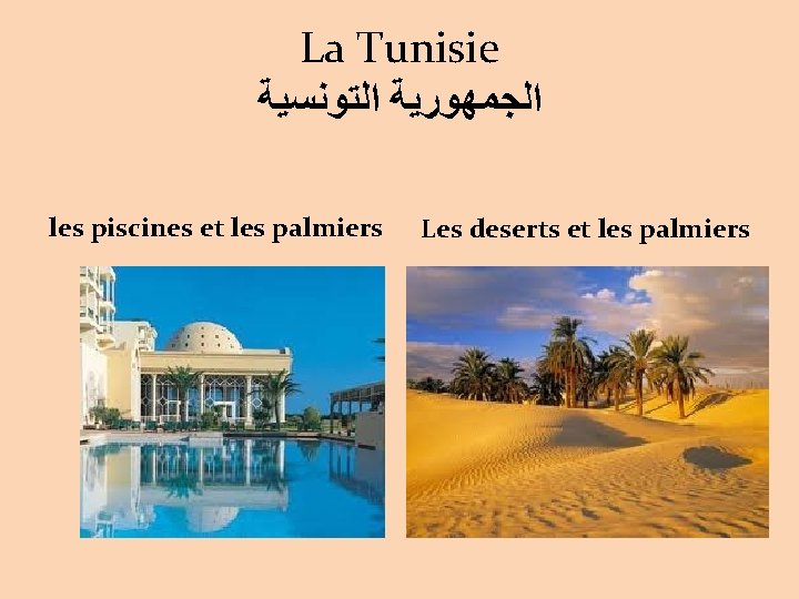 La Tunisie ﺍﻟﺠﻤﻬﻮﺭﻳﺔ ﺍﻟﺘﻮﻧﺴﻴﺔ les piscines et les palmiers Les deserts et les palmiers