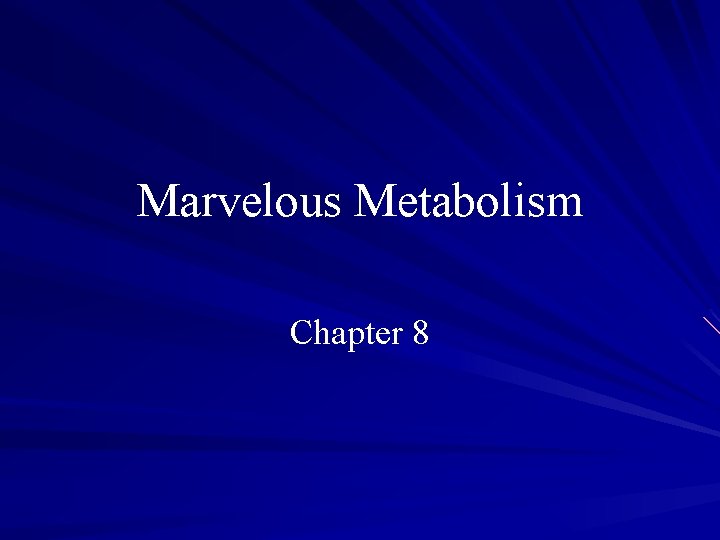 Marvelous Metabolism Chapter 8 