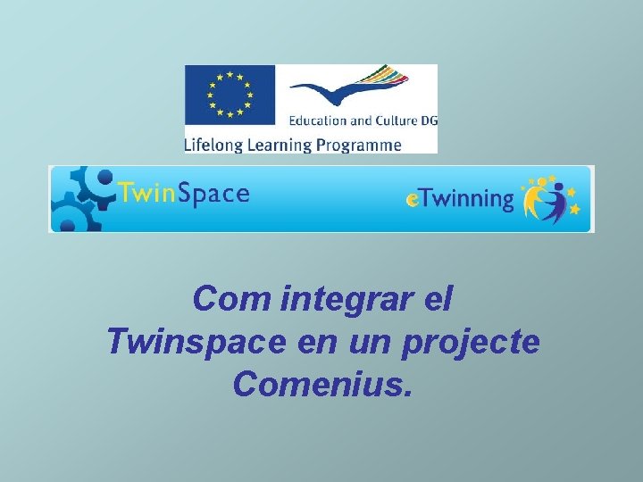 Com integrar el Twinspace en un projecte Comenius. 