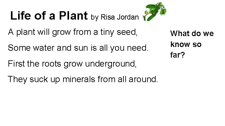 Life of a Plant by Risa Jordan A plant will grow from a tiny