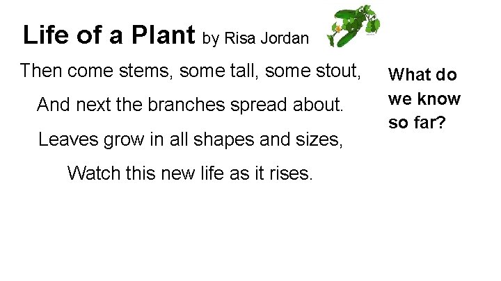 Life of a Plant by Risa Jordan Then come stems, some tall, some stout,