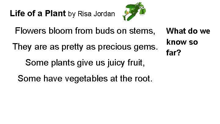 Life of a Plant by Risa Jordan Flowers bloom from buds on stems, They