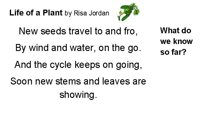 Life of a Plant by Risa Jordan New seeds travel to and fro, By