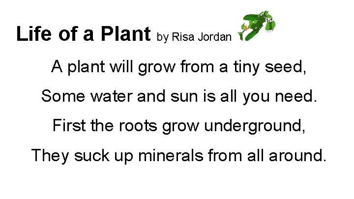 Life of a Plant by Risa Jordan A plant will grow from a tiny