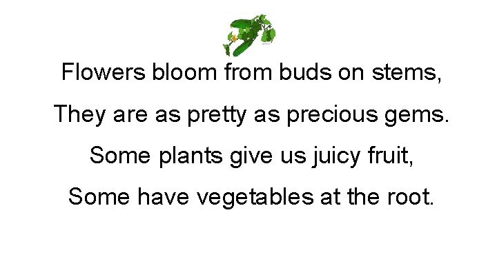Flowers bloom from buds on stems, They are as pretty as precious gems. Some