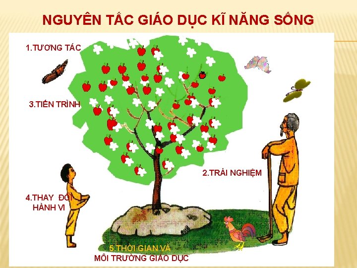 NGUYÊN TẮC GIÁO DỤC KĨ NĂNG SỐNG 1. TƯƠNG TÁC 3. TIẾN TRÌNH 2.