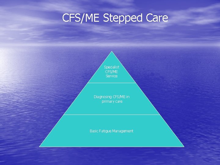 CFS/ME Stepped Care Specialist CFS/ME Service Diagnosing CFS/ME in primary care Basic Fatigue Management