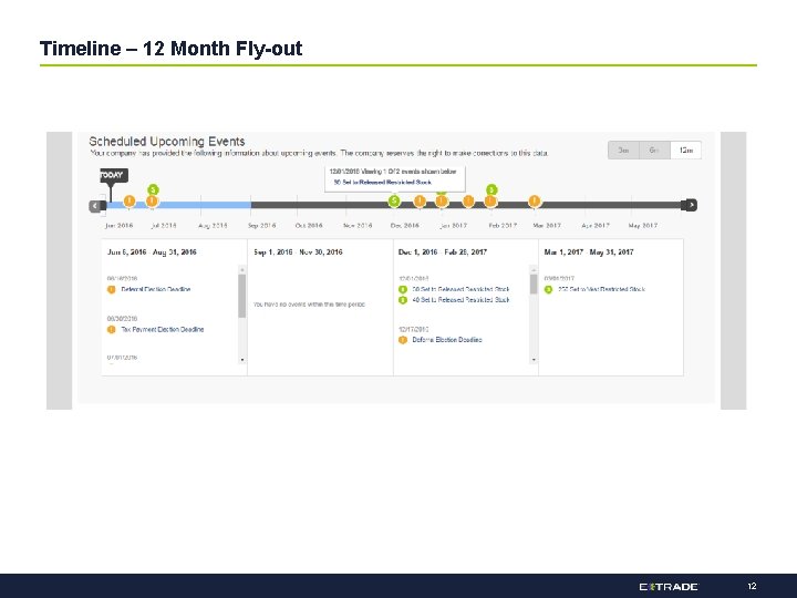 Timeline – 12 Month Fly-out 12 