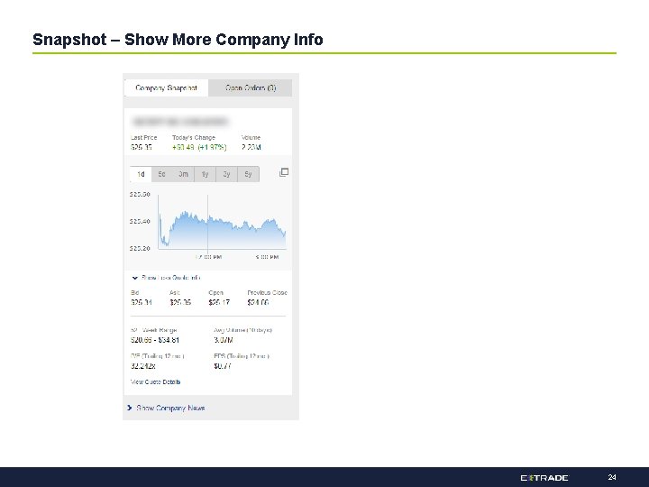 Snapshot – Show More Company Info 24 