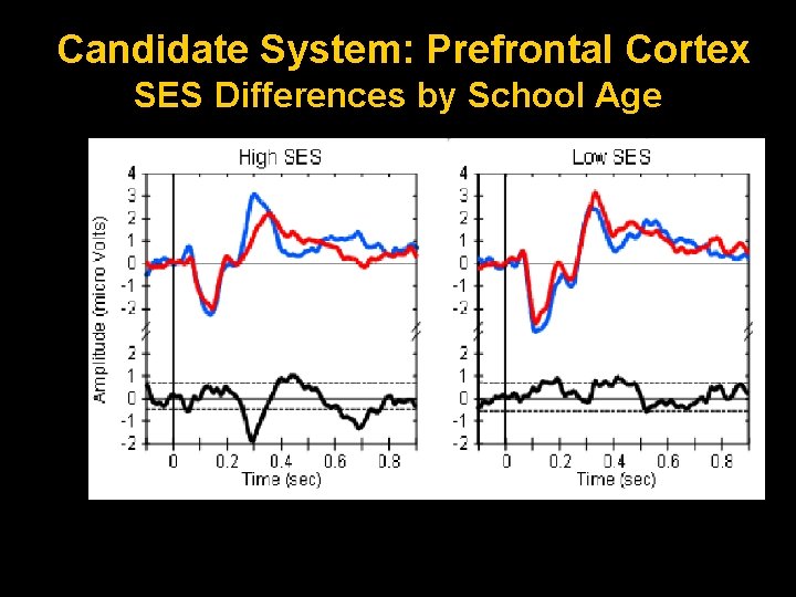 Candidate System: Prefrontal Cortex SES Differences by School Age 