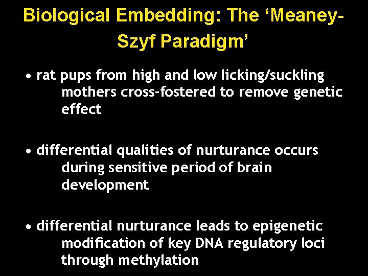 Biological Embedding: The ‘Meaney. Szyf Paradigm’ • rat pups from high and low licking/suckling