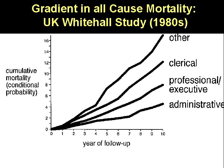 Gradient in all Cause Mortality: UK Whitehall Study (1980 s) 