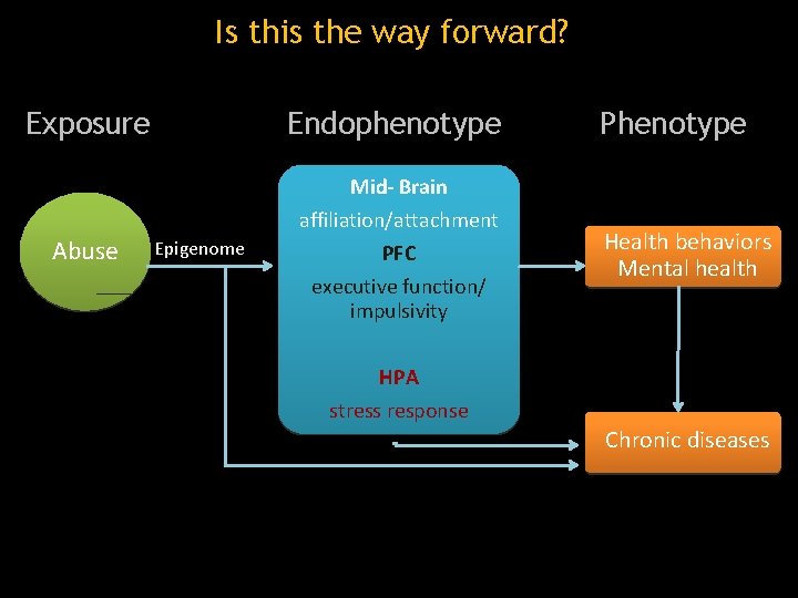 Is this the way forward? Exposure Endophenotype Phenotype Mid- Brain Abuse Epigenome affiliation/attachment PFC