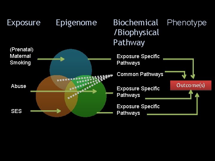 Exposure (Prenatal) Maternal Smoking Childhood Abuse Childhood SES Epigenome Biochemical Phenotype /Biophysical Pathway Exposure