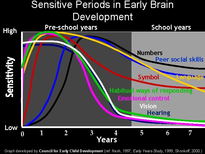 Sensitive Periods in Early Brain Development Pre-school years High School years Numbers Peer social