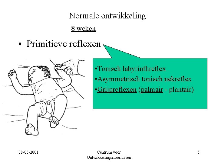 Normale ontwikkeling 8 weken • Primitieve reflexen • Tonisch labyrinthreflex • Asymmetrisch tonisch nekreflex