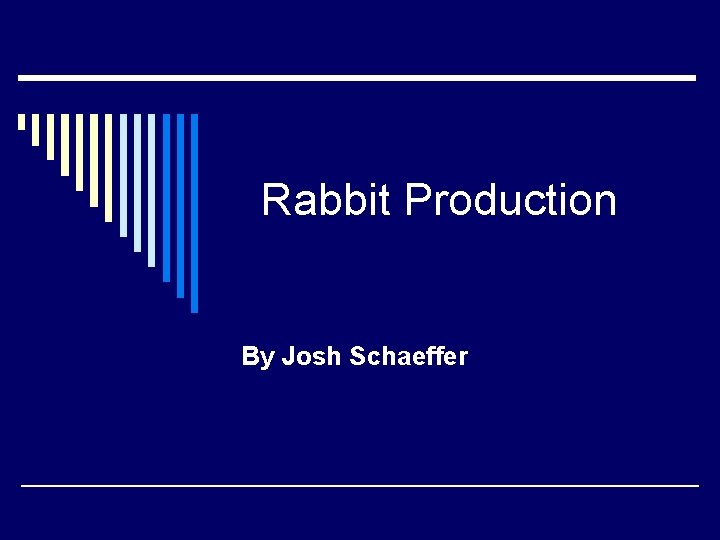 Rabbit Production By Josh Schaeffer 