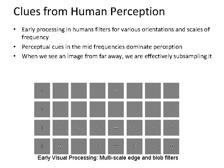 Clues from Human Perception • Early processing in humans filters for various orientations and