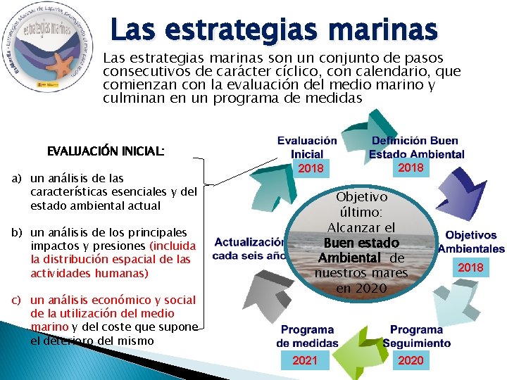 Las estrategias marinas son un conjunto de pasos consecutivos de carácter cíclico, con calendario,