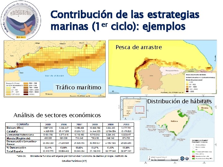 Contribución de las estrategias marinas (1 er ciclo): ejemplos Pesca de arrastre Tráfico marítimo