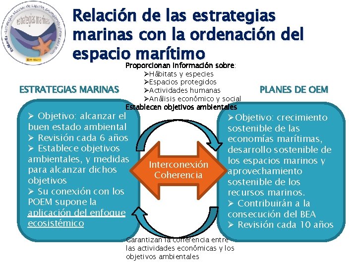Relación de las estrategias marinas con la ordenación del espacio marítimo ESTRATEGIAS MARINAS Proporcionan