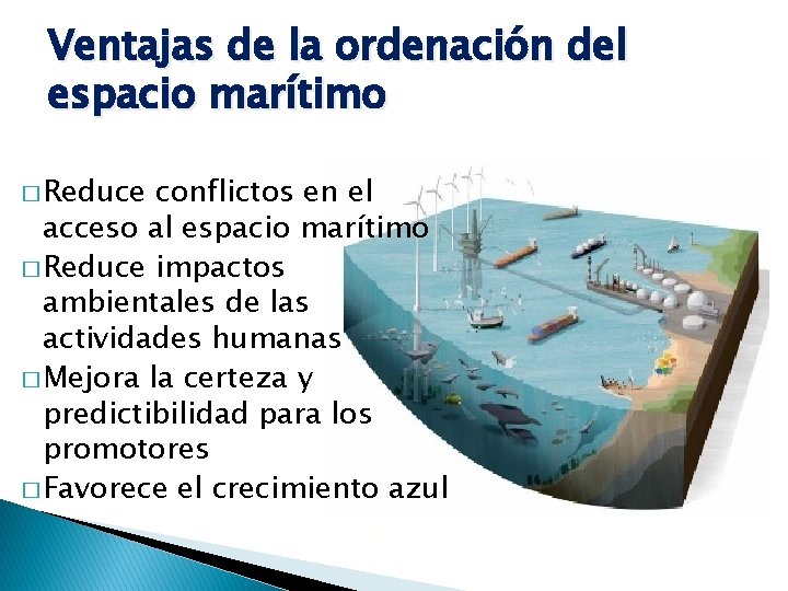 Ventajas de la ordenación del espacio marítimo � Reduce conflictos en el acceso al