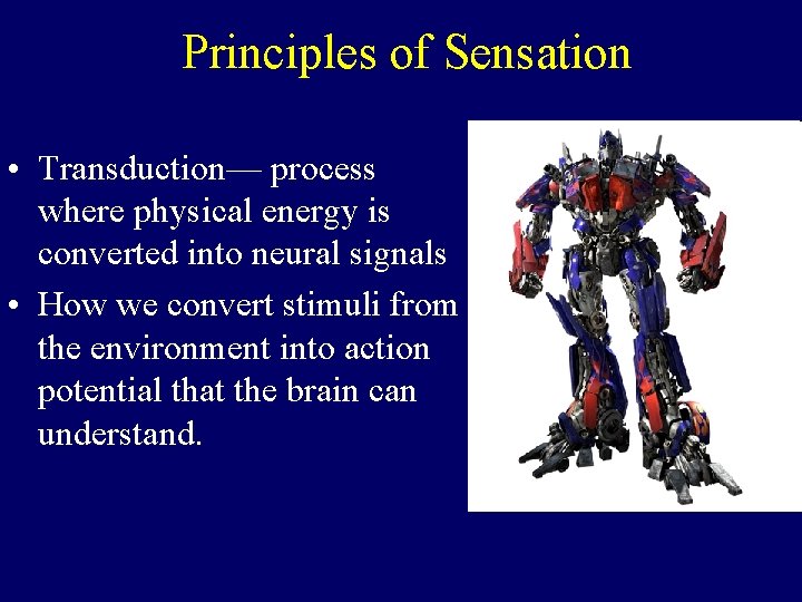 Principles of Sensation • Transduction— process where physical energy is converted into neural signals