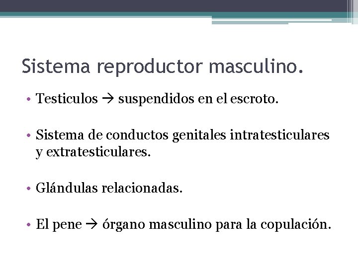 Sistema reproductor masculino. • Testiculos suspendidos en el escroto. • Sistema de conductos genitales
