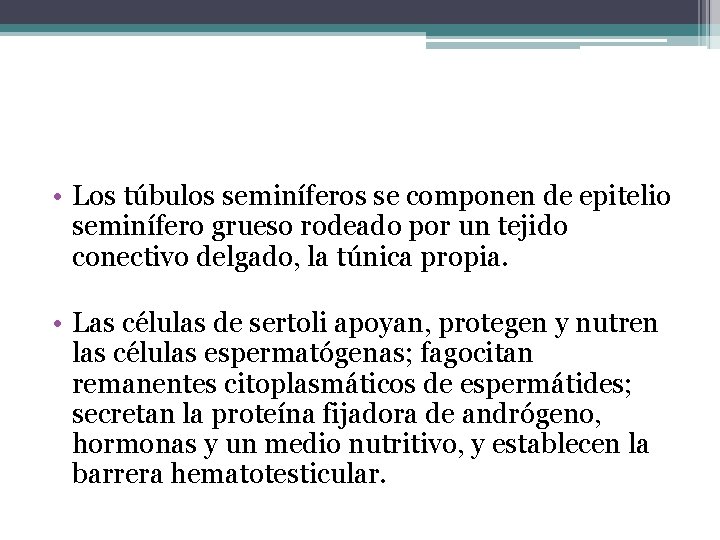  • Los túbulos seminíferos se componen de epitelio seminífero grueso rodeado por un