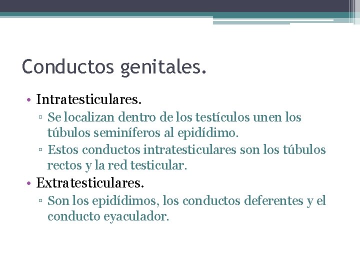 Conductos genitales. • Intratesticulares. ▫ Se localizan dentro de los testículos unen los túbulos
