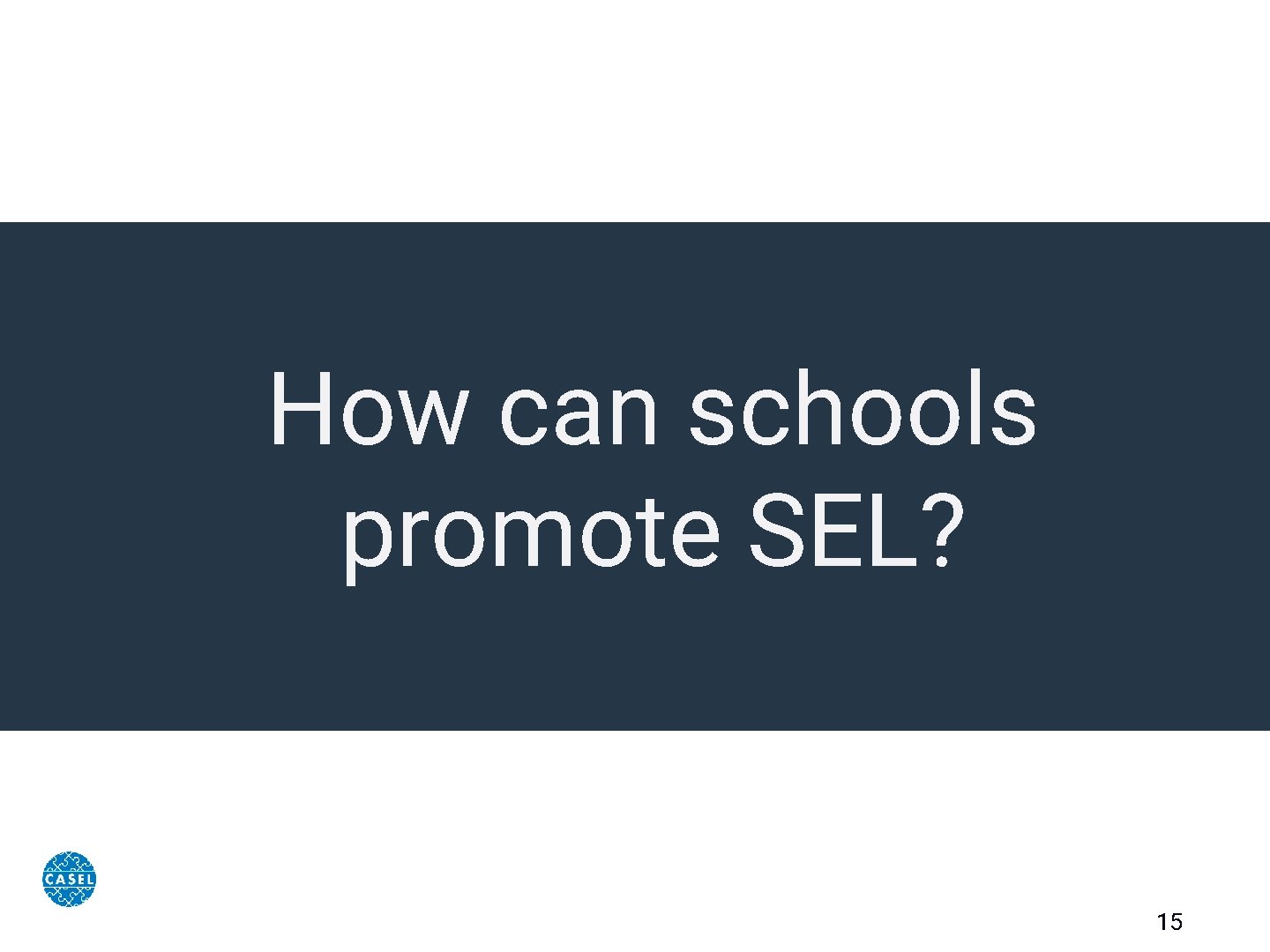 How can schools promote SEL? 15 