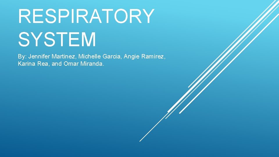 RESPIRATORY SYSTEM By: Jennifer Martinez, Michelle Garcia, Angie Ramirez, Karina Rea, and Omar Miranda.