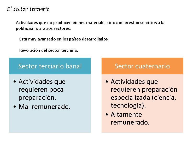 El sector terciario Actividades que no producen bienes materiales sino que prestan servicios a