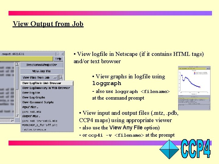 View Output from Job • View logfile in Netscape (if it contains HTML tags)