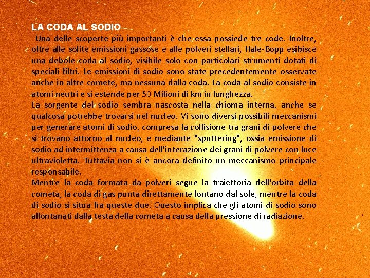 LA CODA AL SODIO Una delle scoperte più importanti è che essa possiede tre