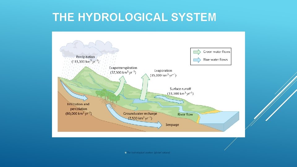 THE HYDROLOGICAL SYSTEM The hydrological system (global values) 