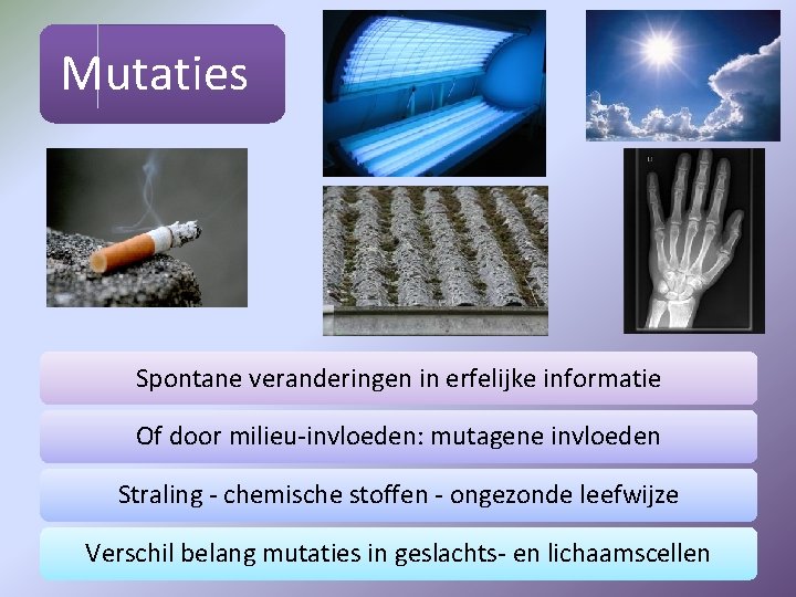 Mutaties Spontane veranderingen in erfelijke informatie Of door milieu-invloeden: mutagene invloeden Straling - chemische