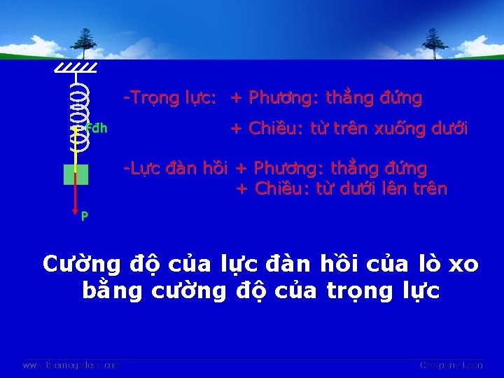 -Trọng lực: + Phương: thẳng đứng Fđh + Chiều: từ trên xuống dưới -Lực