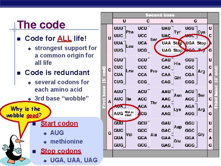 The code Code for ALL life! strongest support for a common origin for all