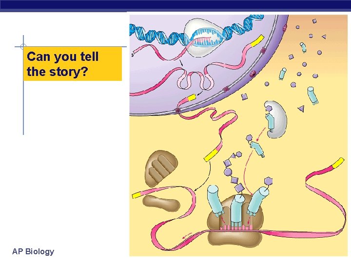 Can you tell the story? AP Biology 