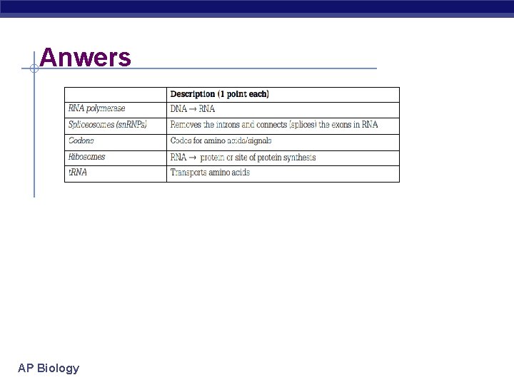 Anwers AP Biology 