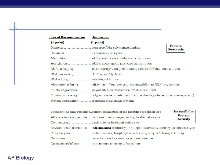 AP Biology 