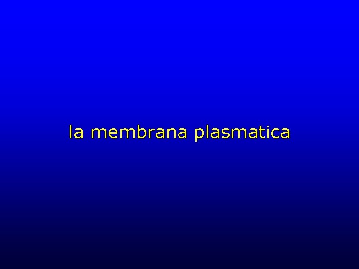 la membrana plasmatica 